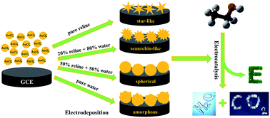 Graphical abstract: Facile and shape-controlled electrochemical synthesis of gold nanocrystals by changing water contents in deep eutectic solvents and their electrocatalytic activity