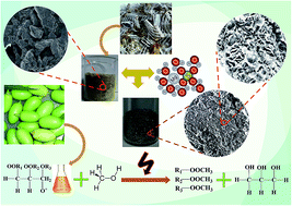 Graphical abstract: Pseudo-first order reaction kinetics and thermodynamic properties study of neem oil esterification using MgO grafted natural hydroxyapatite
