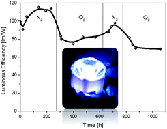 Graphical abstract: Easy and versatile coating approach for long-living white hybrid light-emitting diodes