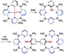 Graphical abstract: Synthesis of hydroxylated azacalix[1]arene[3]pyridines from hydrolysis of high valent arylcopper complexes and conversion to a double azacalix[1]arene[3]pyridine host molecule
