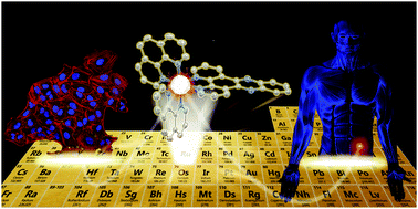 Graphical abstract: The development of ruthenium(ii) polypyridyl complexes and conjugates for in vitro cellular and in vivo applications