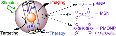 Graphical abstract: Silicon-based nanotheranostics