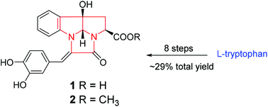 Graphical abstract: Robustanoids A and B, two novel pyrrolo[2,3-b]indole alkaloids from Coffea canephora: isolation and total synthesis