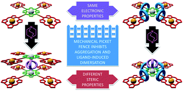 Graphical abstract: Porphyrinoid rotaxanes: building a mechanical picket fence