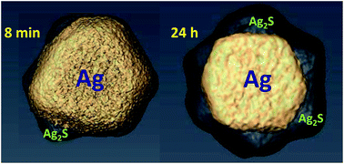 Graphical abstract: Transformation of engineered nanomaterials through the prism of silver sulfidation