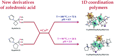 Graphical abstract: 1D Co(ii) coordination polymers based on cyclobutyl- and cyclopentyl-substituted zoledronate analogues: synthesis, structural comparison, thermal stability and magnetic properties