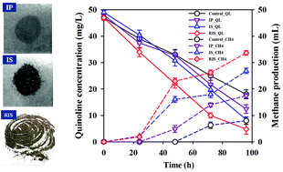Graphical abstract: Enhanced quinoline removal by zero-valent iron-coupled novel anaerobic processes: performance and underlying function analysis