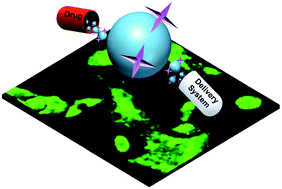 Graphical abstract: Nitrogen-doped carbon nanodots for bioimaging and delivery of paclitaxel