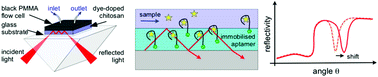 Graphical abstract: A feasibility study of a leaky waveguide aptasensor for thrombin