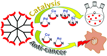 Graphical abstract: Phosphorus dendrimers functionalised with nitrogen ligands, for catalysis and biology