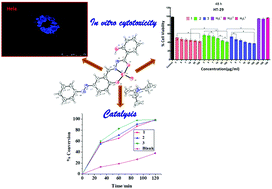 Graphical abstract: In vitro cytotoxicity and catalytic evaluation of dioxidovanadium(v) complexes in an azohydrazone ligand environment