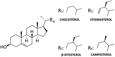 Graphical abstract: Crystal engineering of nutraceutical phytosterols: new cocrystal solid solutions