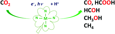 Graphical abstract: Molecular catalysis of CO2 reduction: recent advances and perspectives in electrochemical and light-driven processes with selected Fe, Ni and Co aza macrocyclic and polypyridine complexes