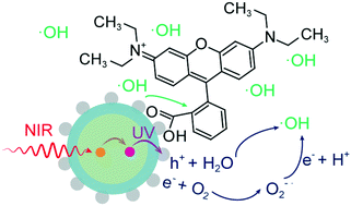 Graphical abstract: Synergistic effects of lanthanide surface adhesion and photon-upconversion for enhanced near-infrared responsive photodegradation of organic contaminants in wastewater