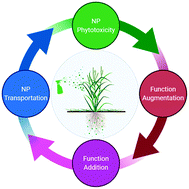 Graphical abstract: Opportunities and challenges of phyto-nanotechnology