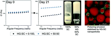 Graphical abstract: Concentrated Pickering emulsions stabilised by hemp globulin–caseinate nanoparticles: tuning the rheological properties by adjusting the hemp globulin : caseinate ratio