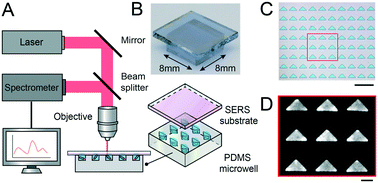 Graphical abstract: Bacteria encapsulation and rapid antibiotic susceptibility test using a microfluidic microwell device integrating surface-enhanced Raman scattering