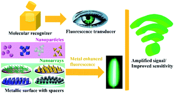 Graphical abstract: Recent progress in sensing application of metal nanoarchitecture-enhanced fluorescence