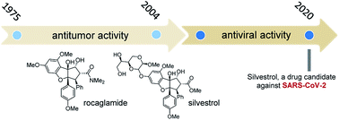 Graphical abstract: Rocaglamide and silvestrol: a long story from anti-tumor to anti-coronavirus compounds