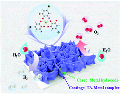 Graphical abstract: Interfacial coordination assembly of tannic acid with metal ions on three-dimensional nickel hydroxide nanowalls for efficient water splitting