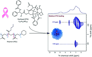 Graphical abstract: 14N–1H HMQC solid-state NMR as a powerful tool to study amorphous formulations – an exemplary study of paclitaxel loaded polymer micelles