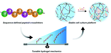 Graphical abstract: Tuning hydrogel properties with sequence-defined, non-natural peptoid crosslinkers