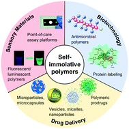 Graphical abstract: Self-immolative polymers in biomedicine