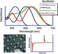 Graphical abstract: Pixelated full-colour small molecule semiconductor devices towards artificial retinas