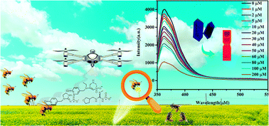 Graphical abstract: Fabrication of a 2D metal–organic framework (MOF) nanosheet colloidal system and investigation of its fluorescence response to pesticide molecules