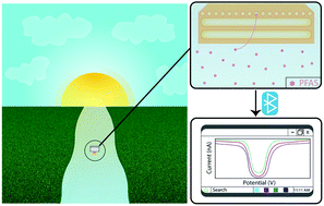 Graphical abstract: Towards deployable electrochemical sensors for per- and polyfluoroalkyl substances (PFAS)