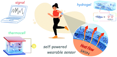 Graphical abstract: A flexible quasi-solid-state thermoelectrochemical cell with high stretchability as an energy-autonomous strain sensor