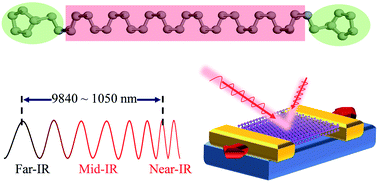 Graphical abstract: Robust charge spatial separation and linearly tunable band gap of low-energy tube-edge phosphorene nanoribbon