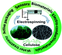 Graphical abstract: Recent progress in cellulose-based electrospun nanofibers as multifunctional materials