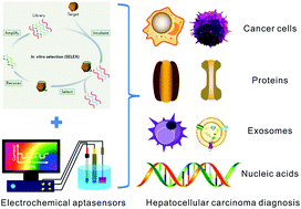 Graphical abstract: Electrochemical aptasensors for the detection of hepatocellular carcinoma-related biomarkers