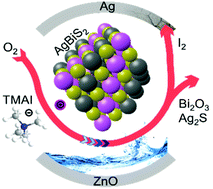 Graphical abstract: Oxygen-induced degradation in AgBiS2 nanocrystal solar cells