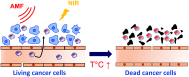 Graphical abstract: Review of core/shell nanostructures presenting good hyperthermia properties for cancer therapy