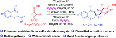 Graphical abstract: A photoredox- or metal-catalyzed three-component cyanoalkylsulfonylation reaction of 1-(allyloxy)-2-(1-arylvinyl)benzenes, potassium metabisulfite, and cycloketone oxime esters: synthesis of cyanoalkylsulfonylated benzoxepines