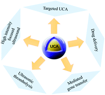 Graphical abstract: Development and application of ultrasound contrast agents in biomedicine