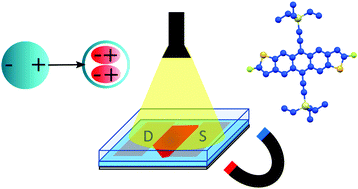 Graphical abstract: Measuring the impact of spin-triplet exciton orientation on photocurrent in an organic transistor