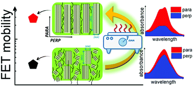 Graphical abstract: Improving molecular alignment and charge percolation in semiconducting polymer films with highly localized electronic states through tailored thermal annealing