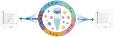 Graphical abstract: Isothermal nucleic acid amplification technology in HIV detection