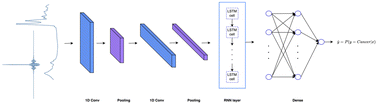 Graphical abstract: Recurrent neural networks for time domain modelling of FTIR spectra: application to brain tumour detection