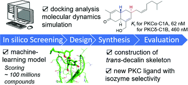 Graphical abstract: AI and computational chemistry-accelerated development of an alotaketal analogue with conventional PKC selectivity