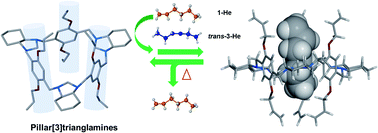 Graphical abstract: Pillar[3]trianglamines: deeper cavity triangular macrocycles for selective hexene isomer separation