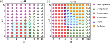 Graphical abstract: Collective behavior of chiral active particles with anisotropic interactions in a confined space