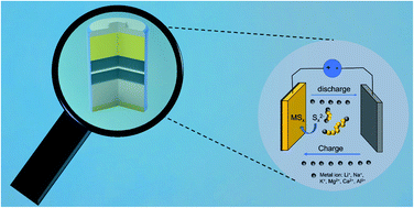 Graphical abstract: Advances in understanding and regulation of sulfur conversion processes in metal–sulfur batteries