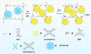 Graphical abstract: A novel polyelectrolyte-based artificial light-harvesting system for photocatalysis of cross-dehydrogenation coupling