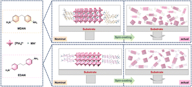 Graphical abstract: Favorable morphology and compositional distribution enable efficient and stable quasi-2D Dion–Jacobson perovskite solar cells