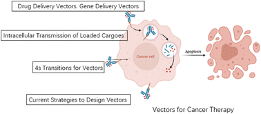 Graphical abstract: Delivery process and effective design of vectors for cancer therapy