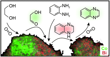 Graphical abstract: Sustainable synthesis of azobenzenes, quinolines and quinoxalines via oxidative dehydrogenative couplings catalysed by reusable transition metal oxide–Bi(iii) cooperative catalysts